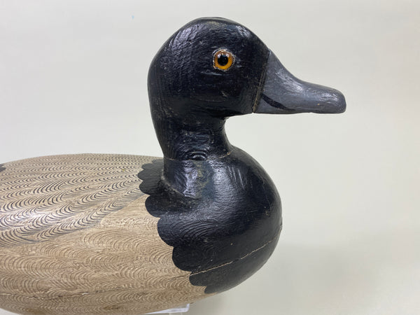 Fred Mott Bluebill, painted by Charles Moore (#9161)