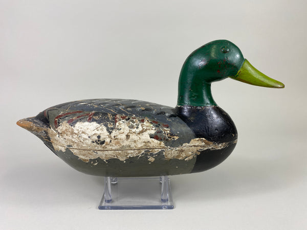 George Kessler Mallard Drake, Fred Mott Repaint (#9163)