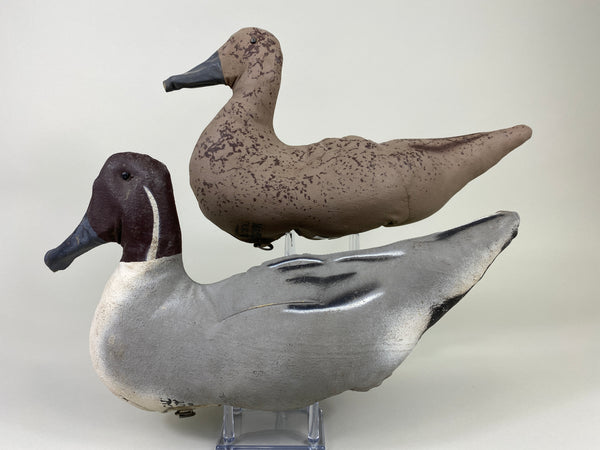 Macal Dukoy Pair of Stuffed Canvas Pintails (#9164)
