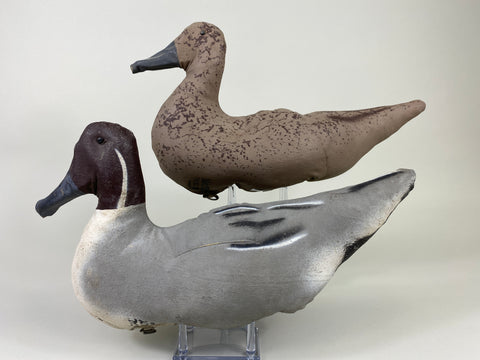 Macal Dukoy Pair of Stuffed Canvas Pintails (#9164)