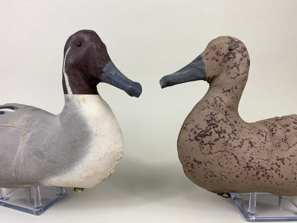 Macal Dukoy Pair of Stuffed Canvas Pintails (#9164)