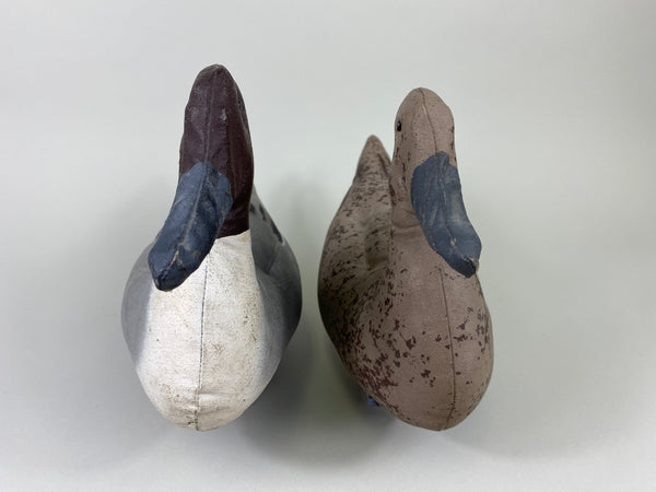 Macal Dukoy Pair of Stuffed Canvas Pintails (#9164)