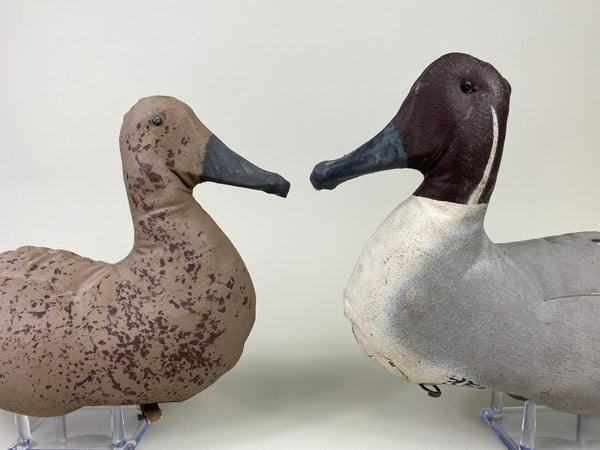 Macal Dukoy Pair of Stuffed Canvas Pintails (#9164)