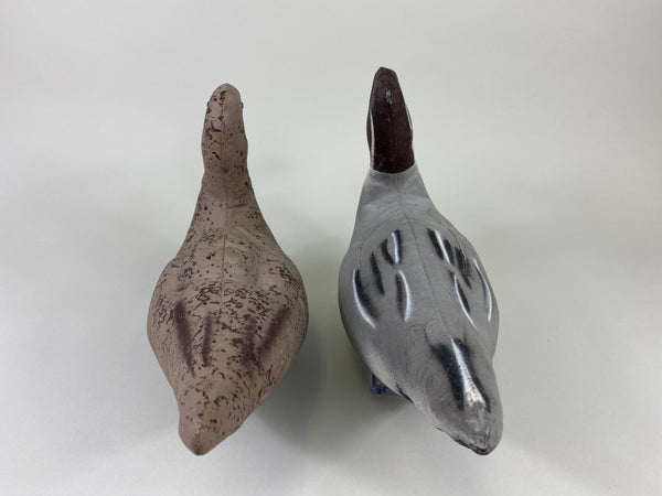 Macal Dukoy Pair of Stuffed Canvas Pintails (#9164)