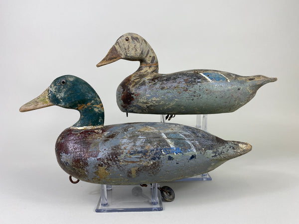 Harry Canfield Pair of Mallards (#9167)