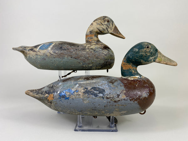 Harry Canfield Pair of Mallards (#9167)