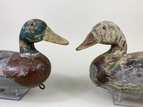 Harry Canfield Pair of Mallards (#9167)