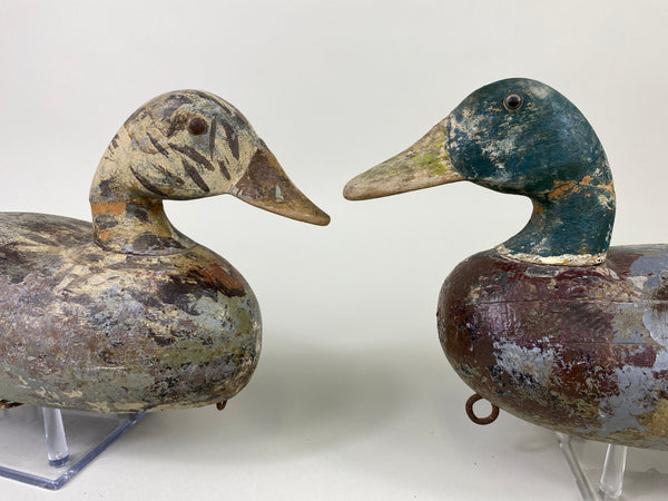 Harry Canfield Pair of Mallards (#9167)