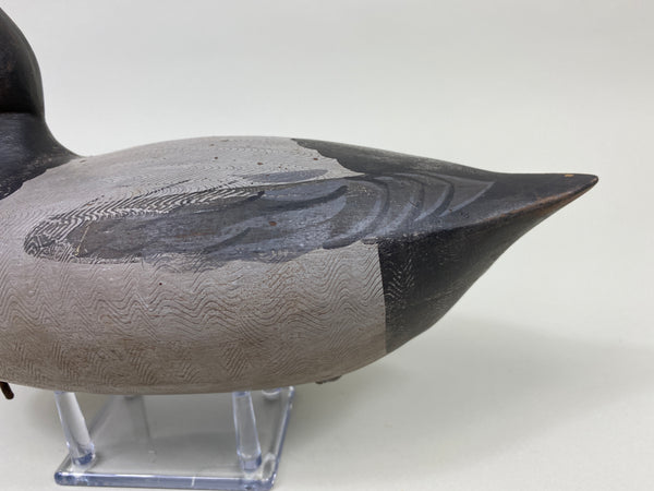 Charlie Moore Perdew Style Bluebill (#9180)
