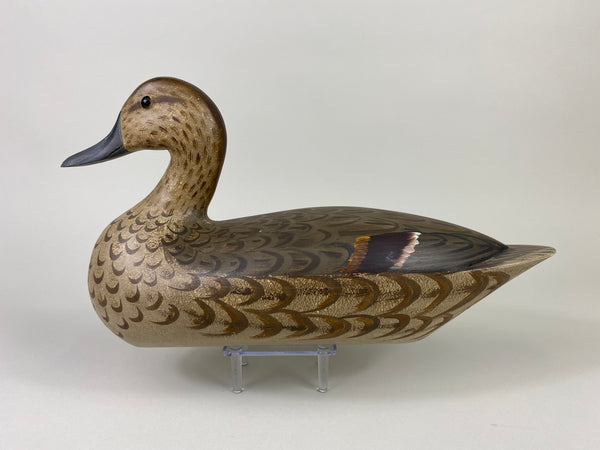 Illinois River Pintail Hen, Paint by Mike Lashbrook (#9182)