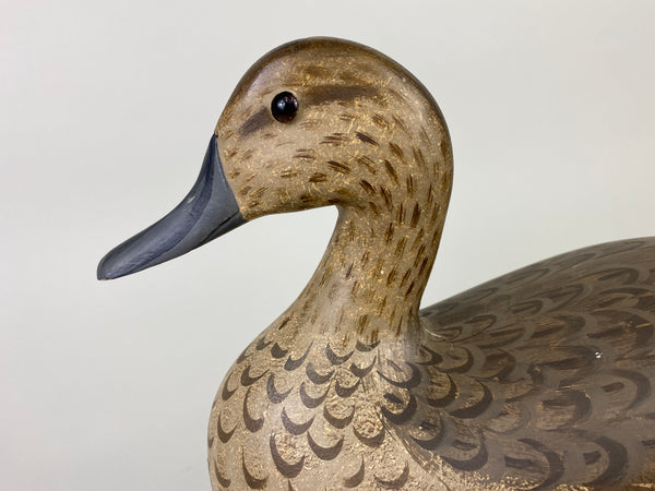 Illinois River Pintail Hen, Paint by Mike Lashbrook (#9182)