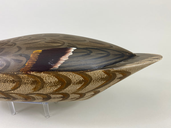 Illinois River Pintail Hen, Paint by Mike Lashbrook (#9182)
