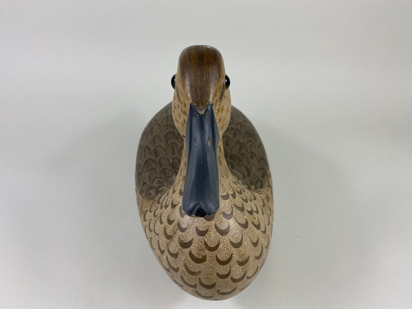 Illinois River Pintail Hen, Paint by Mike Lashbrook (#9182)