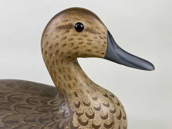 Illinois River Pintail Hen, Paint by Mike Lashbrook (#9182)