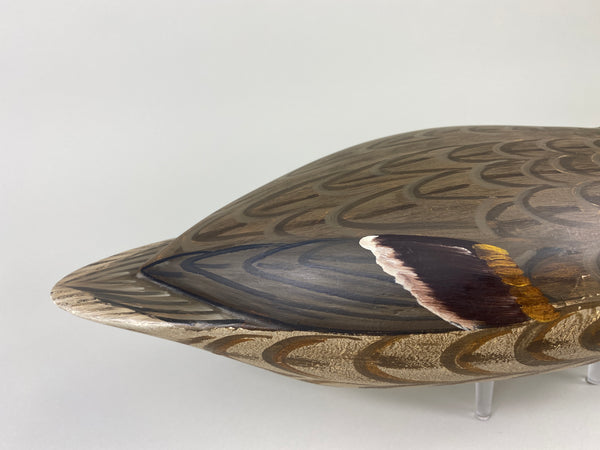Illinois River Pintail Hen, Paint by Mike Lashbrook (#9182)