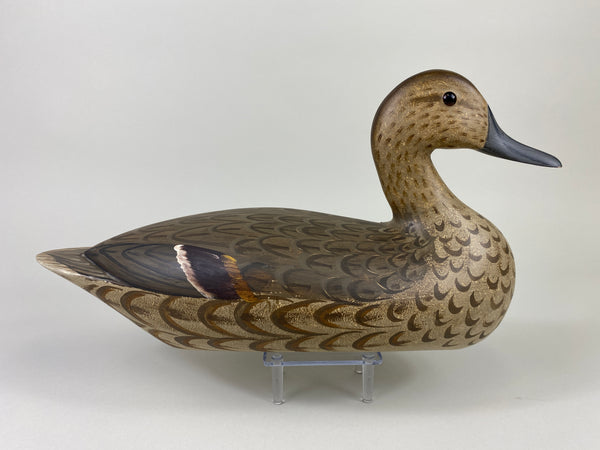 Illinois River Pintail Hen, Paint by Mike Lashbrook (#9182)