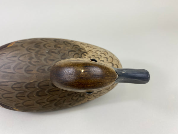 Illinois River Pintail Hen, Paint by Mike Lashbrook (#9182)