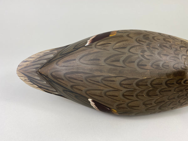 Illinois River Pintail Hen, Paint by Mike Lashbrook (#9182)