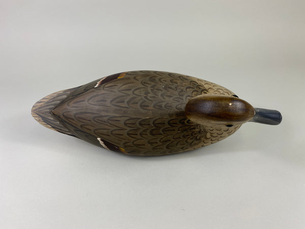 Illinois River Pintail Hen, Paint by Mike Lashbrook (#9182)