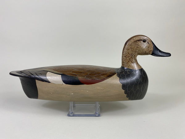 Jack Schwartz Gadwall Drake, repainted by Charlie Moore (#9186)