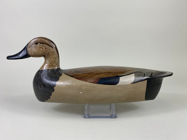 Jack Schwartz Gadwall Drake, repainted by Charlie Moore (#9186)