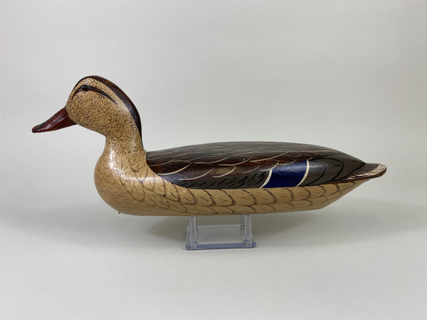Robert Elliston Mallard Hen, Charlie Moore Paint (#9188)
