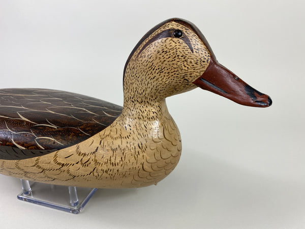 Robert Elliston Mallard Hen, Charlie Moore Paint (#9188)