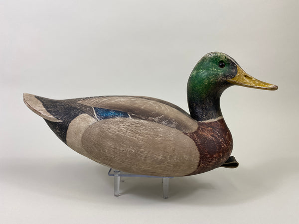 Leo McIntosh Mallard Drake (#9200)