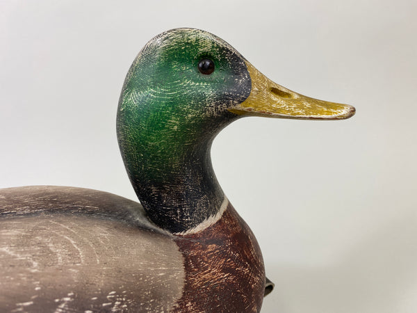 Leo McIntosh Mallard Drake (#9200)