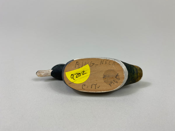 Miniature Ring Neck, Unknown (#9202)