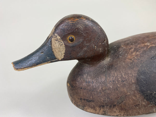 Malcolm Parks Bluebill Hen, Circa 1920's (#9208)