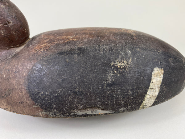 Malcolm Parks Bluebill Hen, Circa 1920's (#9208)