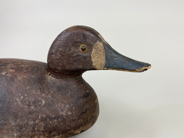 Malcolm Parks Bluebill Hen, Circa 1920's (#9208)