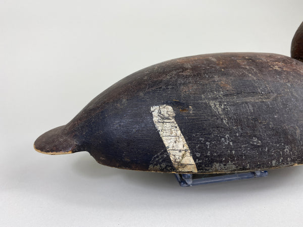 Malcolm Parks Bluebill Hen, Circa 1920's (#9208)