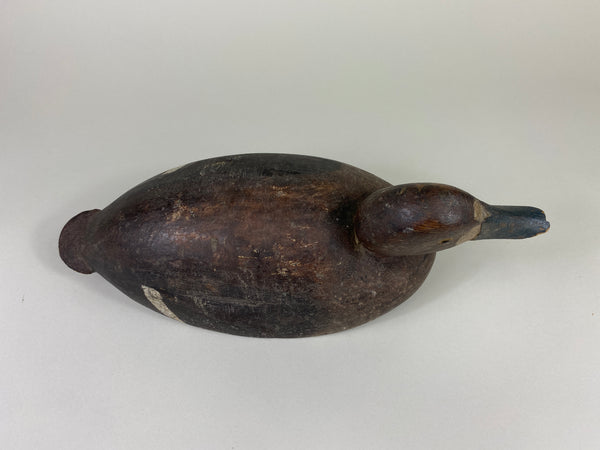 Malcolm Parks Bluebill Hen, Circa 1920's (#9208)