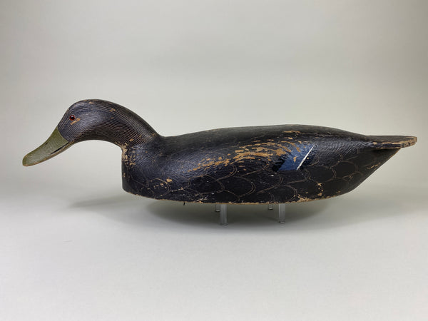 Ernie Fox Black Duck (#9210)