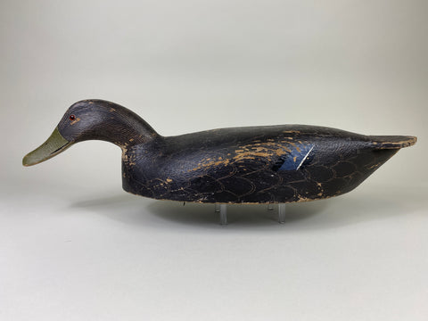 Ernie Fox Black Duck (#9210)