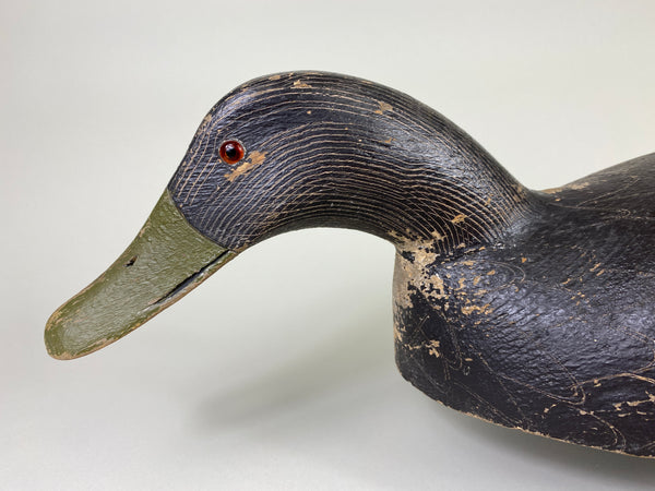 Ernie Fox Black Duck (#9210)