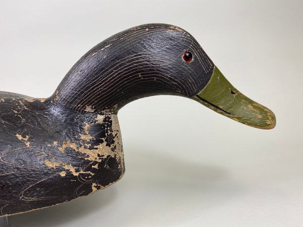 Ernie Fox Black Duck (#9210)