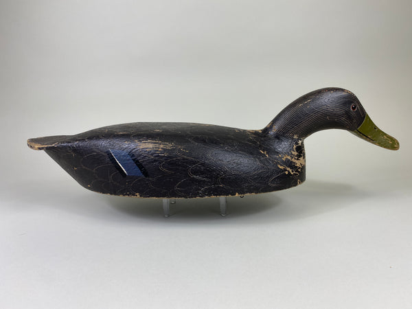 Ernie Fox Black Duck (#9210)