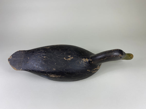 Ernie Fox Black Duck (#9210)