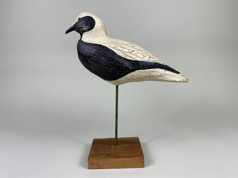 Herters 1893 Series Black Bellied Plover (#9219)