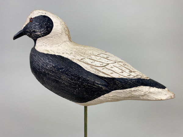 Herters 1893 Series Black Bellied Plover (#9219)