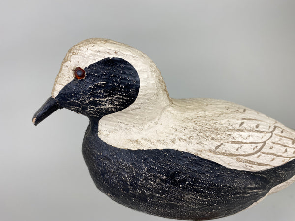 Herters 1893 Series Black Bellied Plover (#9219)