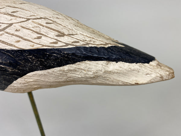 Herters 1893 Series Black Bellied Plover (#9219)