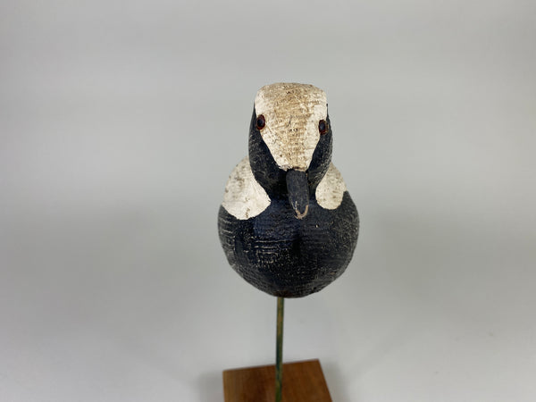 Herters 1893 Series Black Bellied Plover (#9219)