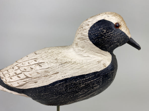 Herters 1893 Series Black Bellied Plover (#9219)