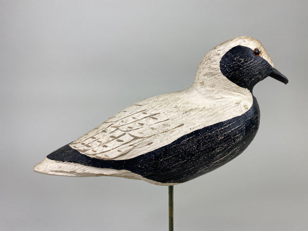 Herters 1893 Series Black Bellied Plover (#9219)