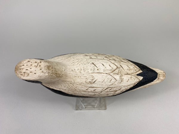 Herters 1893 Series Black Bellied Plover (#9219)