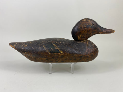 Dodge Mallard Hen (#9238)